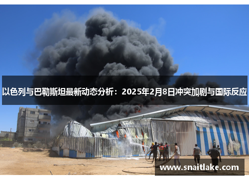 以色列与巴勒斯坦最新动态分析：2025年2月8日冲突加剧与国际反应