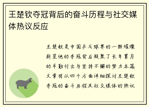 王楚钦夺冠背后的奋斗历程与社交媒体热议反应