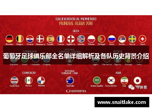 葡萄牙足球俱乐部全名单详细解析及各队历史背景介绍
