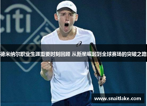 德米纳尔职业生涯重要时刻回顾 从新星崛起到全球赛场的突破之路