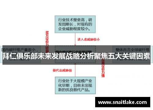 拜仁俱乐部未来发展战略分析聚焦五大关键因素