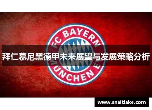 拜仁慕尼黑德甲未来展望与发展策略分析 拜仁慕尼黑德甲未来展望与发展策略分析