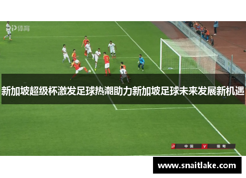 新加坡超级杯激发足球热潮助力新加坡足球未来发展新机遇